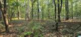  Funderburg Bend Road - Photo 6