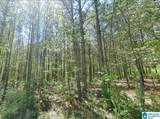 0 County Road 864 - Photo 12