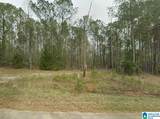 0 County Road 864 - Photo 6