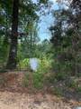  County Road 228 - Photo 10