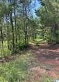  County Road 228 - Photo 6
