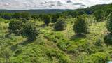 5967 County Road 19 - Photo 8