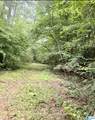 0 County Road 40 - Photo 28