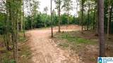 Tract 1 343 County Road 892 - Photo 26