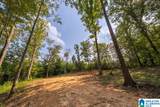 Tract 1 343 County Road 892 - Photo 28