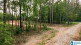 Tract 1 343 County Road 892 - Photo 30
