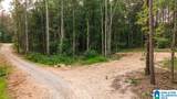 Tract 2 343 County Road 892 - Photo 1