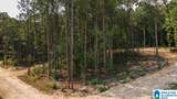 Tract 2 343 County Road 892 - Photo 12