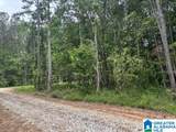 Tract 2 343 County Road 892 - Photo 4