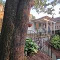 4319 Cliff Road - Photo 3