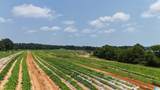 1780 County Road 42 - Photo 5
