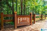 741 Firefly Lane - Photo 32