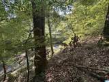 0 Alabama Highway 174 - Photo 10