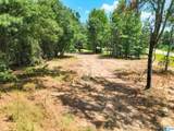 0 County Road 121 - Photo 3