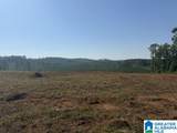 TBD Grissom Ferry Road - Photo 4