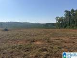 TBD Grissom Ferry Road - Photo 5