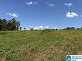 TBD Grissom Ferry Road - Photo 7