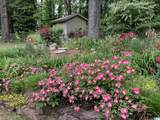 2901 Wisteria Drive - Photo 38