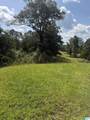 14.80 A County Road 269 - Photo 3