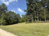 14.80 A County Road 269 - Photo 6