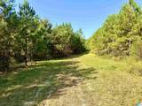 576 Highway 61 - Photo 13
