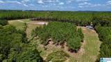 576 Highway 61 - Photo 26