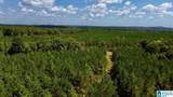 576 Highway 61 - Photo 28