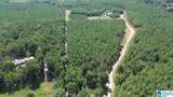 576 Highway 61 - Photo 33