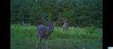 576 Highway 61 - Photo 36