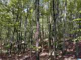  Lane Branch Road - Photo 1