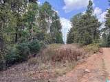  Lane Branch Road - Photo 9