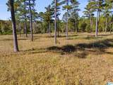 0 County Road 267 - Photo 11