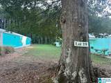 125 Blue Eye Road - Photo 3