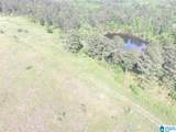 0 Sanie Road - Photo 10