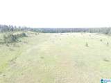 0 Sanie Road - Photo 11