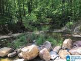 0 Sanie Road - Photo 12
