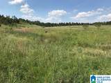 0 Sanie Road - Photo 13