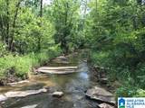 0 Sanie Road - Photo 2