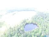 0 Sanie Road - Photo 3