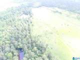 0 Sanie Road - Photo 8