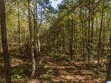 431 County Road 30 - Photo 16