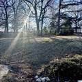 1017 Grand Oaks Circle - Photo 4