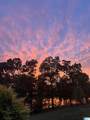 168 Layke Pointe - Photo 46