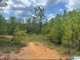 17 Acres Truman Aldrich Parkway - Photo 2