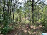 17 Acres Truman Aldrich Parkway - Photo 5