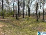 12523 Eve Lou Avenue - Photo 45