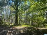  Us Hwy 231 - Photo 2