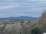 3953 Logan Martin Dam Road - Photo 2