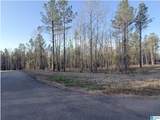 620 Horseshoe Trail - Photo 3
