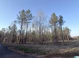 620 Horseshoe Trail - Photo 4